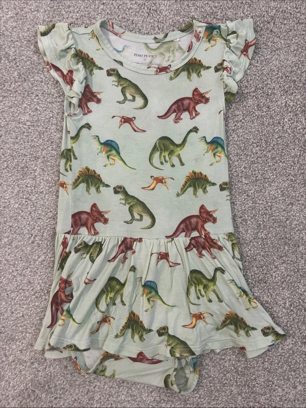 Posh Peanut Mint Green Dinosaur Ruffle Dress with Multicolor Dinosaurs